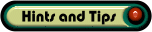 hint.gif (2976 bytes)