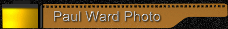 paulward.gif (15609 bytes)